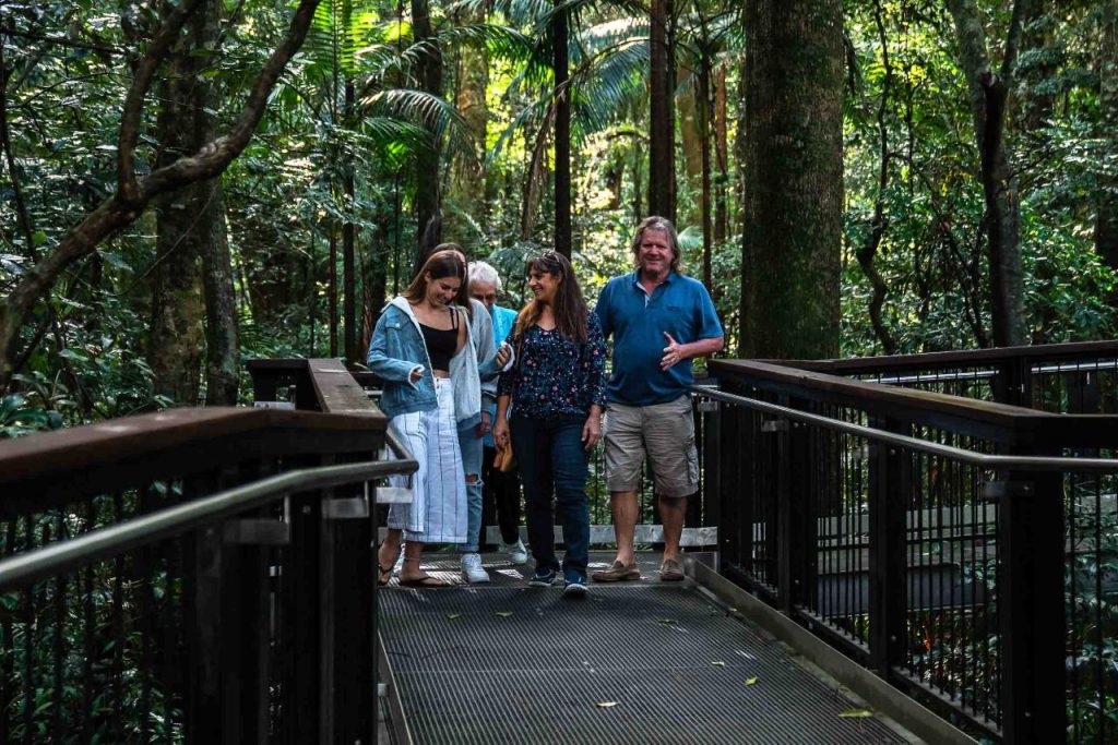 Visitors walking along a rainforest boardwalk on the Sunshine Coast