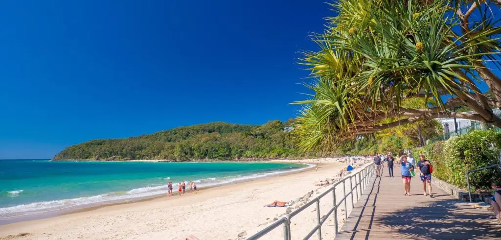 Boardwalk along Noosa Main Beach with pandanus palms and turquoise water