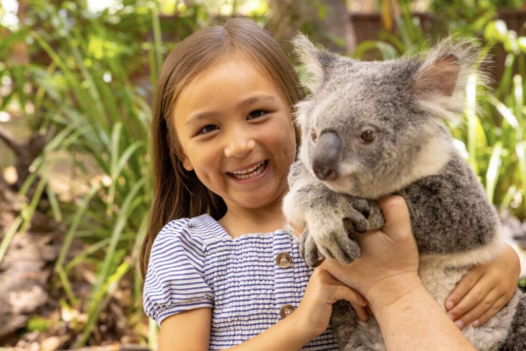 2026 Currumbin Wildlife Sanctuary, Gold Coast Tour by Adventure Day Trips Brisbane