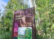 Koala Country sign at Currumbin Wildlife Sanctuary on the Gold Coast surrounded by natural forest
