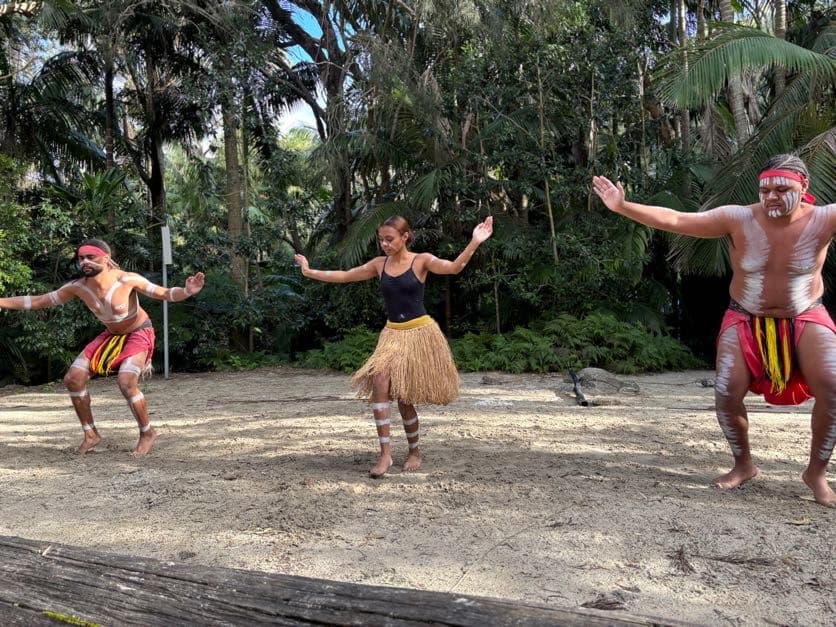 Traditional Aboriginal dance performance at Currumbin Wildlife Sanctuary on the Gold Coast