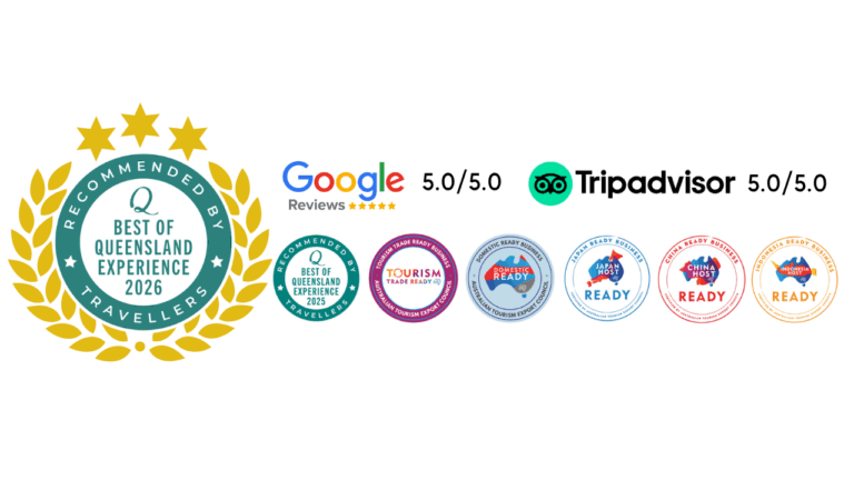 Adventure Day Trips trust and recognition banner featuring the “Best of Queensland Experience 2026” award badge surrounded by gold laurel leaves, alongside Google and TripAdvisor 5.0 star ratings, plus tourism industry certifications including Tourism Trade Ready, Domestic Ready, Japan Ready, China Ready, and Indonesia Ready business badges.