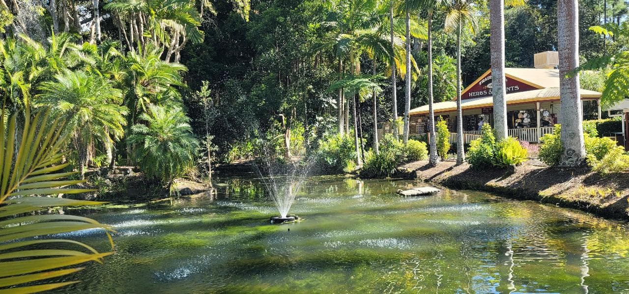 Sunshine Coast day trip from Brisbane